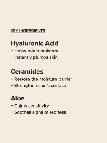 PAULA'S CHOICE Perfectly Balanced Foaming Cleanser
