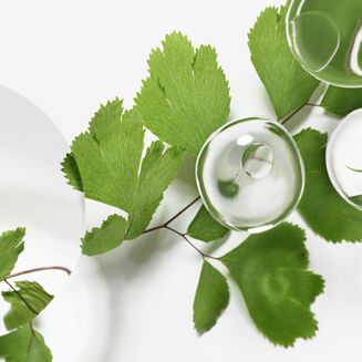 SISLEY PARIS Emulsion Ecologique