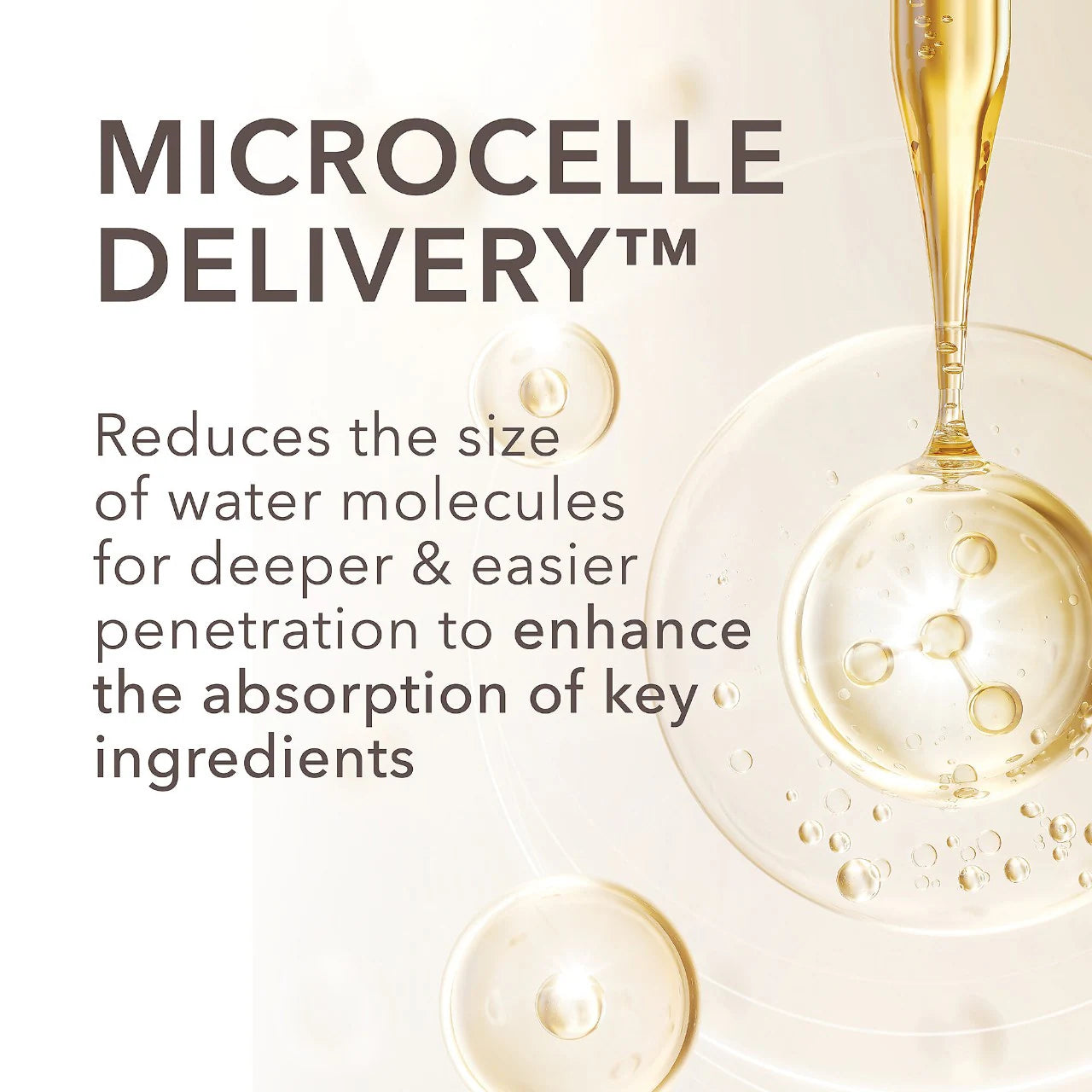 DR DENNIS GROSS DermInfusions Fill + Repair Serum with Hyaluronic Acid